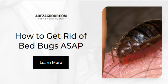 How to Get Rid of Bed Bugs ASAP